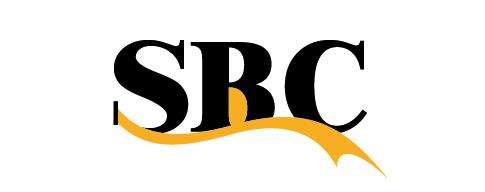 SBC韓國導(dǎo)軌滑塊絲杠 Bearings